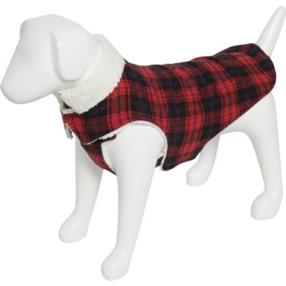 humane society dog sweater